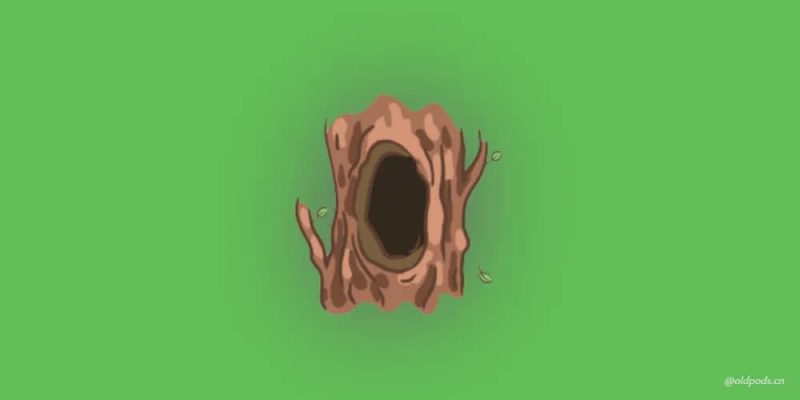 生活树洞-老豆荚Oldpods